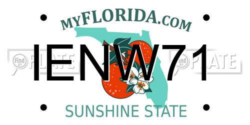 IENW71 Florida License Plate