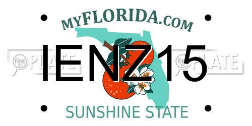 IENZ15 Florida License Plate