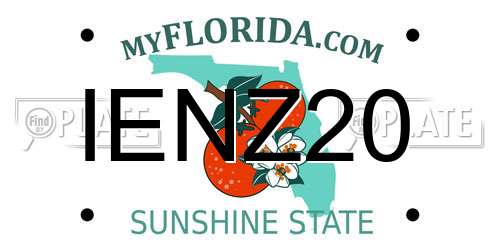 IENZ20 Florida License Plate