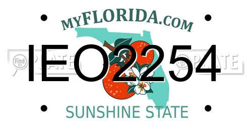 IEO2254 Florida License Plate