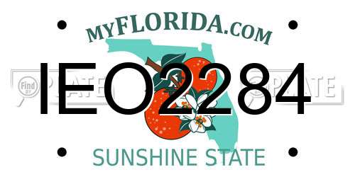 IEO2284 Florida License Plate