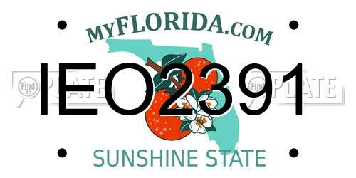 IEO2391 Florida License Plate
