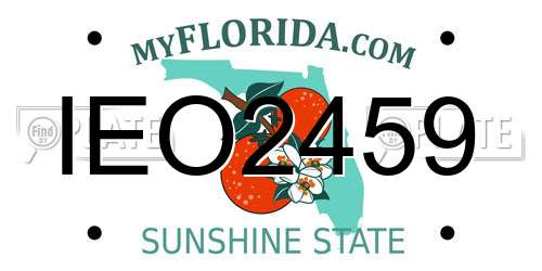 IEO2459 Florida License Plate