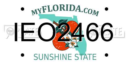 IEO2466 Florida License Plate