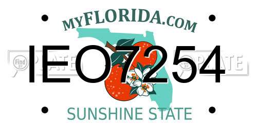 IEO7254 Florida License Plate