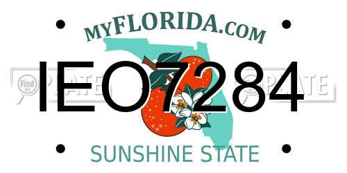 IEO7284 Florida License Plate