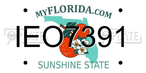 IEO7391 Florida License Plate