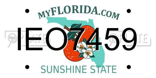 IEO7459 Florida License Plate