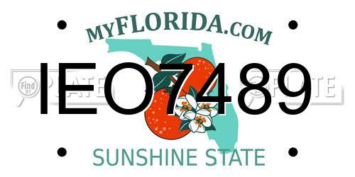 IEO7489 Florida License Plate