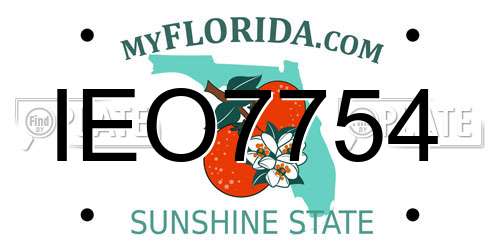 IEO7754 Florida License Plate