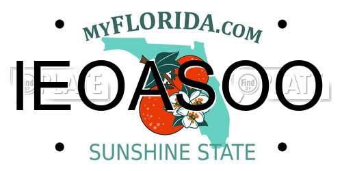 IEOASOO Florida License Plate