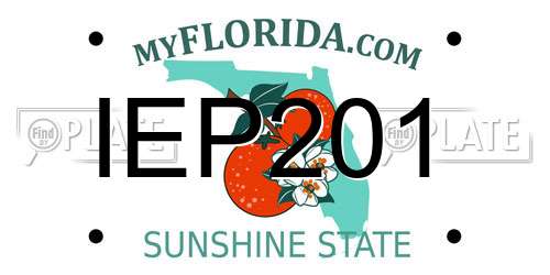 IEP201 Florida License Plate