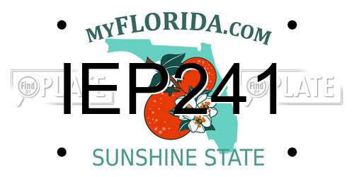 IEP241 Florida License Plate
