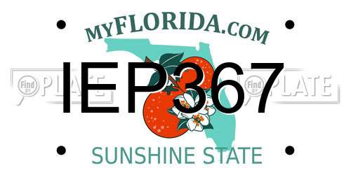 IEP367 Florida License Plate