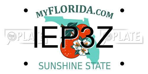 IEP3Z Florida License Plate