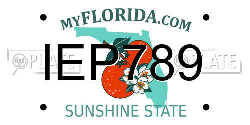 IEP789 Florida License Plate