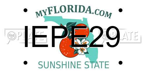 IEPE29 Florida License Plate