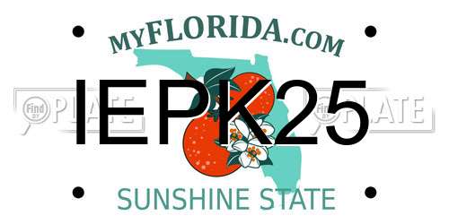 IEPK25 Florida License Plate