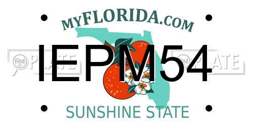 IEPM54 Florida License Plate
