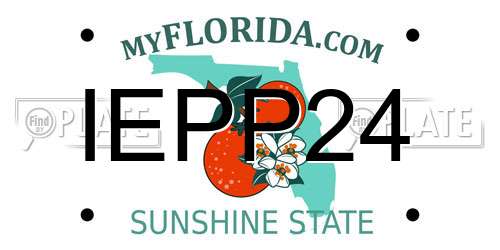 IEPP24 Florida License Plate
