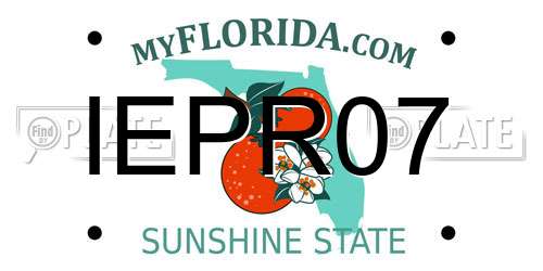 IEPR07 Florida License Plate