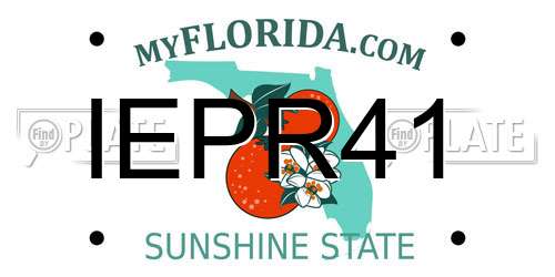 IEPR41 Florida License Plate
