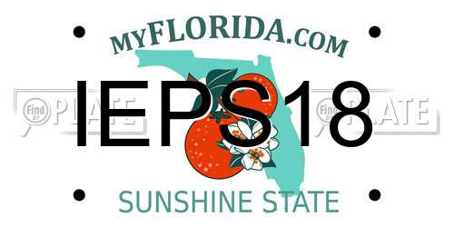 IEPS18 Florida License Plate