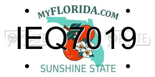 IEQ7019 Florida License Plate