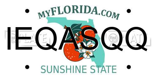 IEQASQQ Florida License Plate