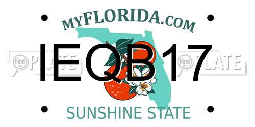 IEQB17 Florida License Plate
