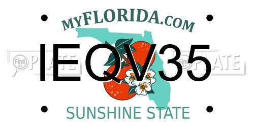 IEQV35 Florida License Plate