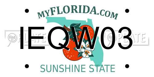 IEQW03 Florida License Plate
