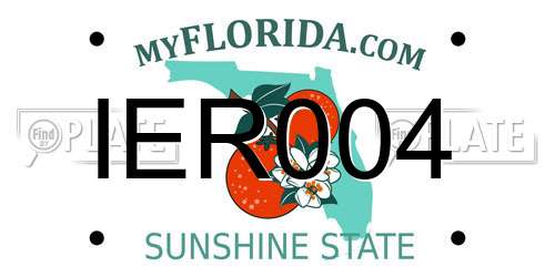 IER004 Florida License Plate