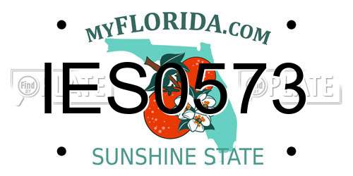 IES0573 Florida License Plate