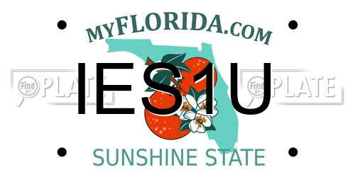 IES1U Florida License Plate