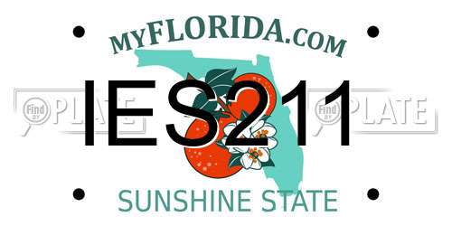 IES211 Florida License Plate