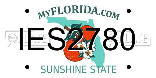 IES2780 Florida License Plate