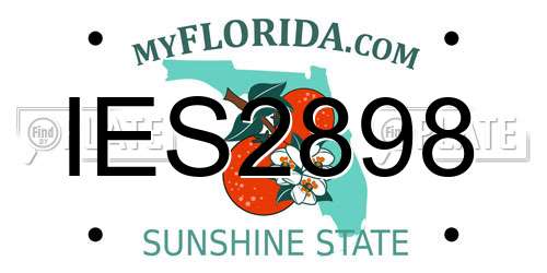 IES2898 Florida License Plate