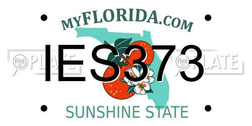IES373 Florida License Plate