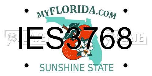 IES3768 Florida License Plate