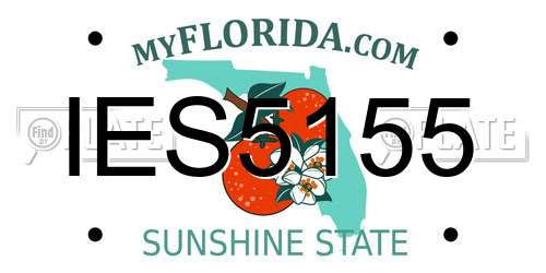 IES5155 Florida License Plate