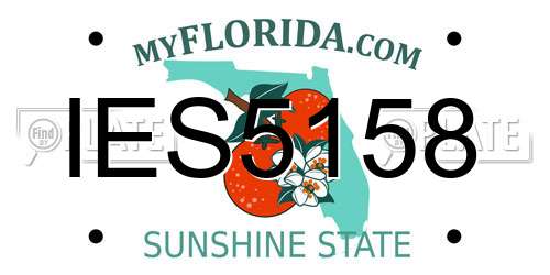 IES5158 Florida License Plate