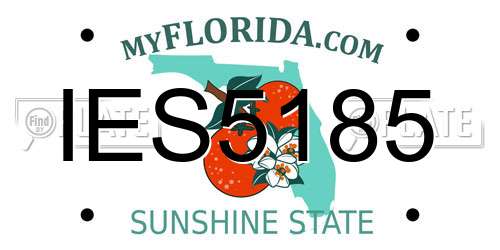IES5185 Florida License Plate