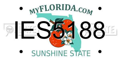 IES5188 Florida License Plate
