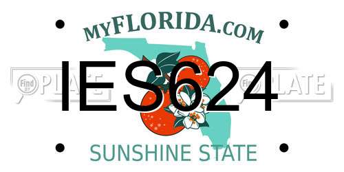 IES624 Florida License Plate