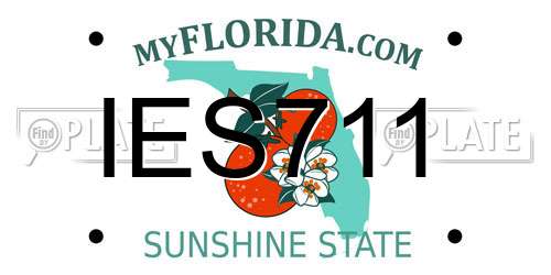 IES711 Florida License Plate