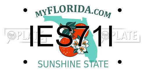 IES71I Florida License Plate