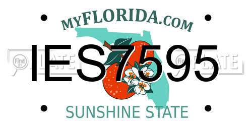 IES7595 Florida License Plate