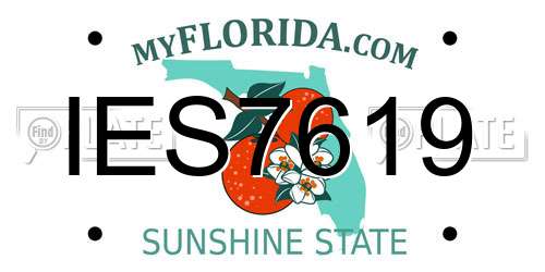 IES7619 Florida License Plate