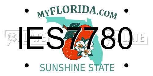 IES7780 Florida License Plate